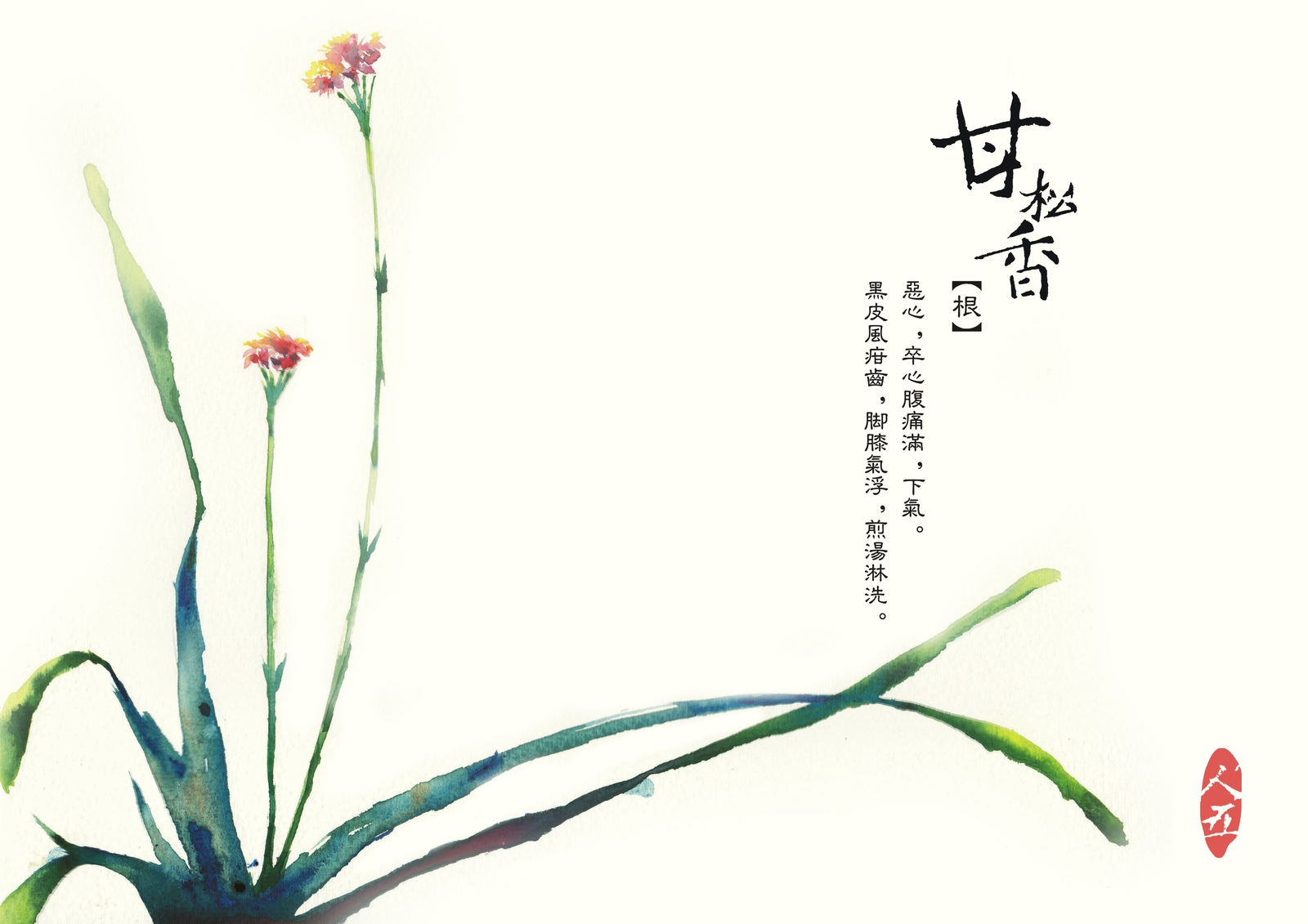甘松香 作者:人五(手绘 中国风)