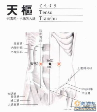 这是当年我接触针灸第一穴位.二十年前自己腹泻针刺后,腹泻迅速停止.