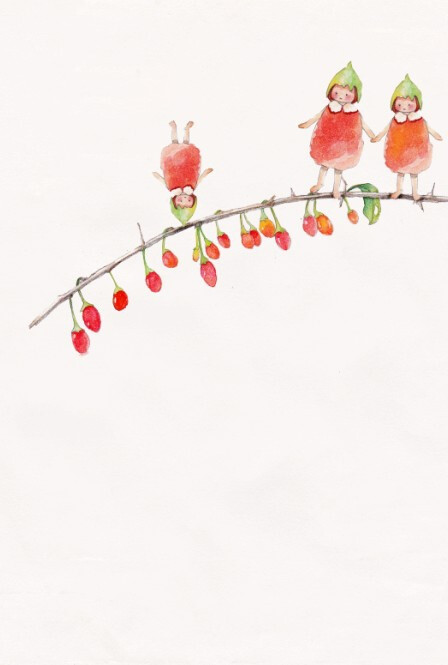 雨落兮的插画枸杞子小清新插画