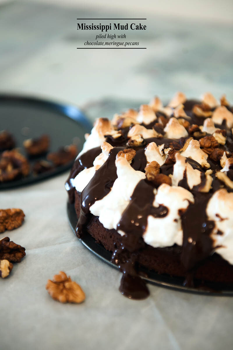  Indulge in a Decadent Delight with Our Simple Mississippi Mud Cake Recipe