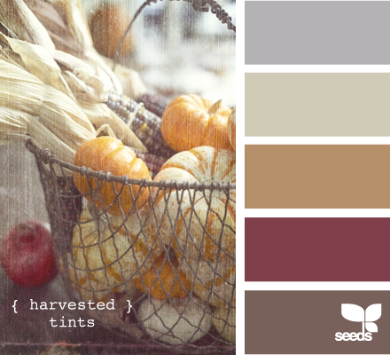 harvested tints