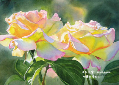 美国艺术家sharon freeman画的水彩,都是很平凡的素材,树木,花卉,人物