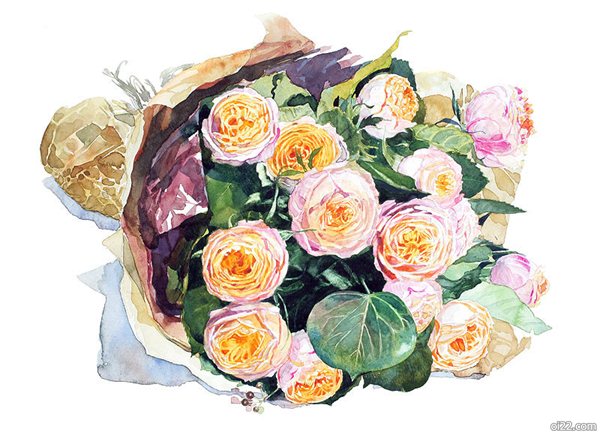 com]ayako tsuge水彩插画,水果拼盘和捧花