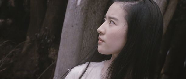 聂小倩--刘亦菲.《倩女幽魂》.