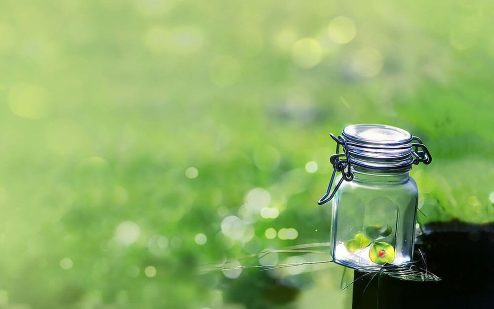 唯美绿色许愿瓶win7主题