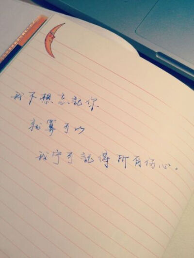 我不想忘记你,就算可以,我宁可记得所有伤心.