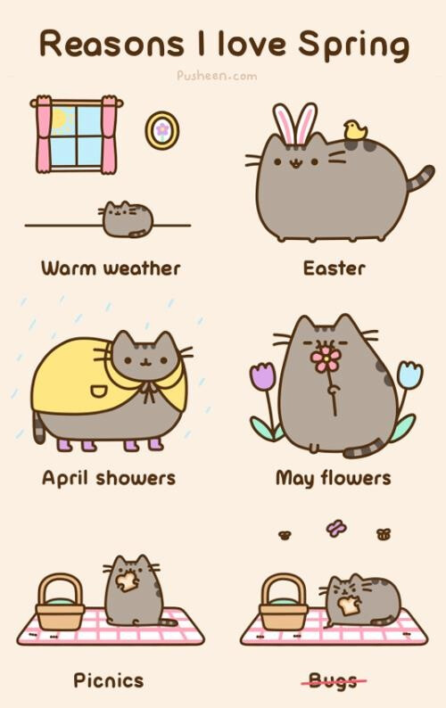 pusheen the cat