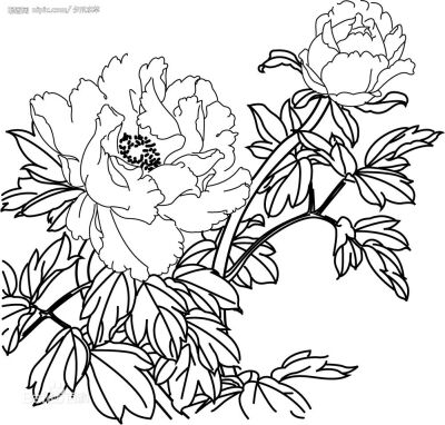 收集   点赞  评论  白描 0 62 林中花锦  发布到  插画 图片评论 0