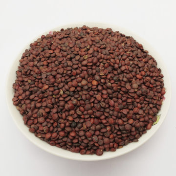 酸枣仁