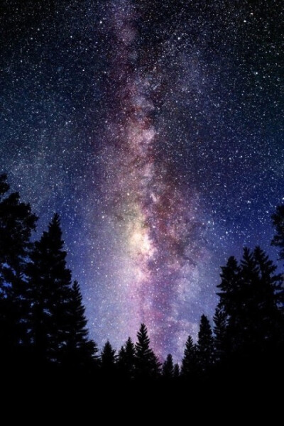 每当我找不到存在的意义,每当我迷失在黑夜里,夜空中最亮的星,请照亮