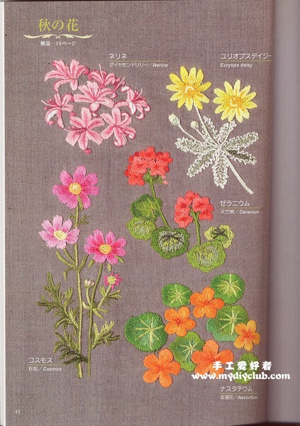 花草图案集,里面有图纸哦