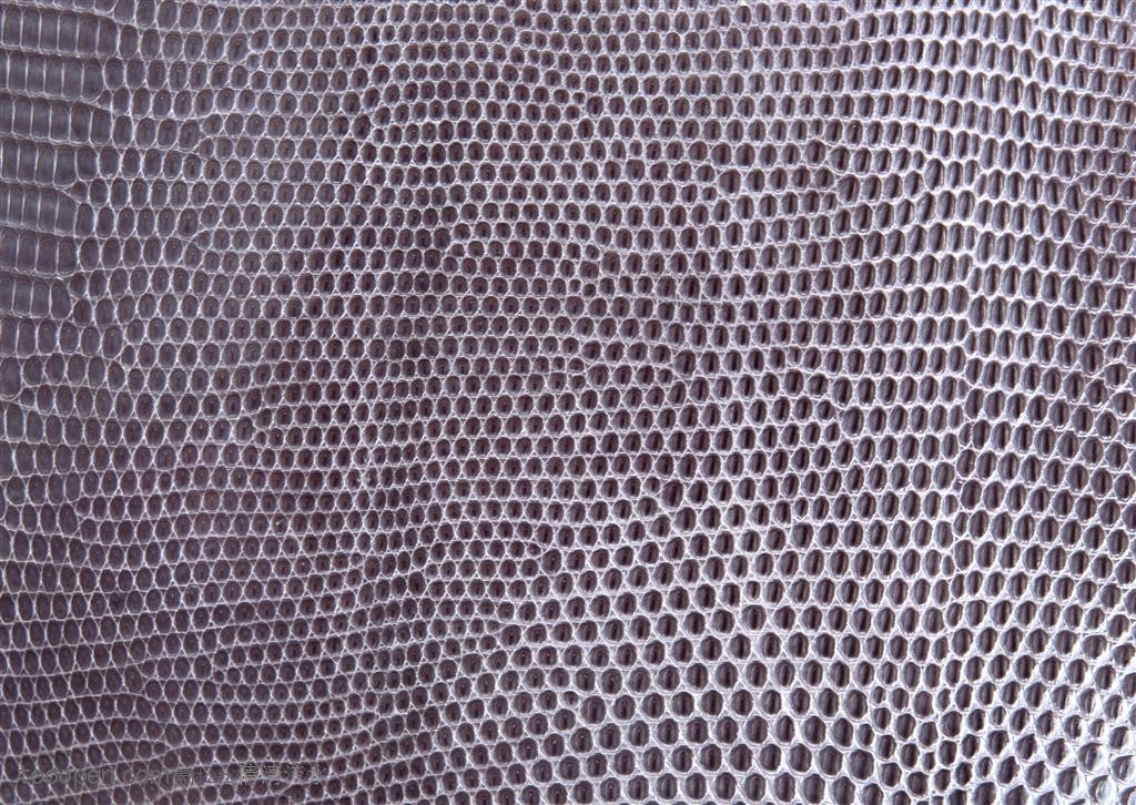 皮纹特写-灰色斑点肌理高清免费设计图片素材下载,现在加入素材公社