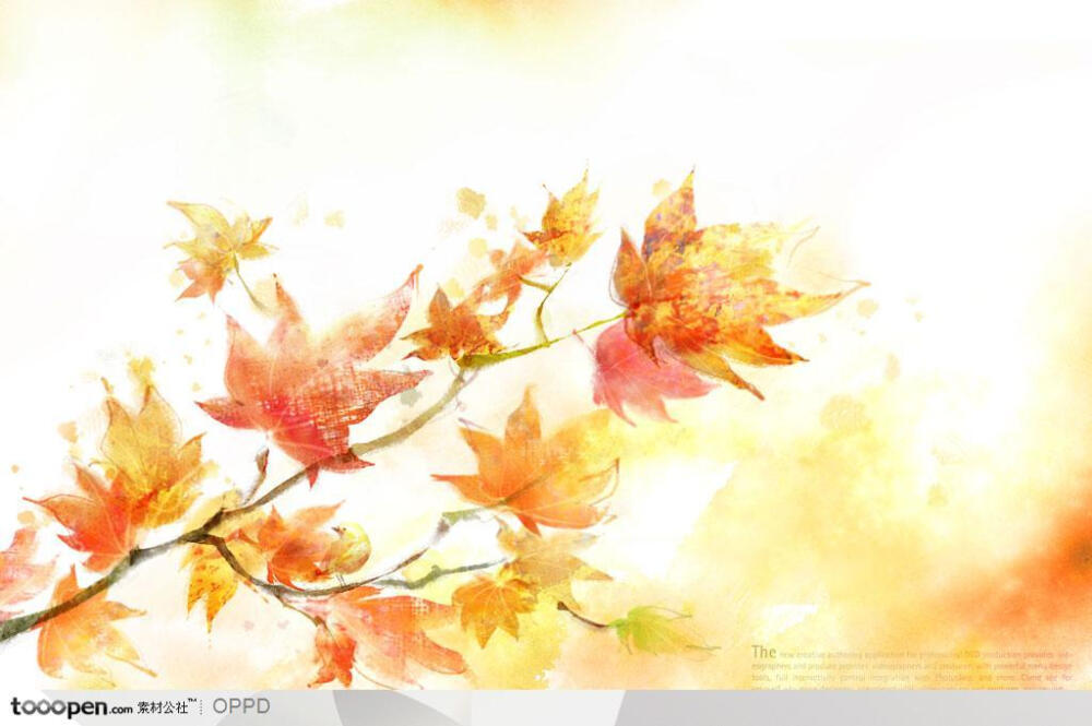 手绘水彩插画春夏茂盛的水墨红色枫叶装饰