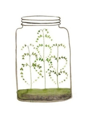 玻璃瓶子插画图片