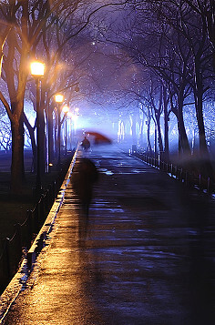 雨画