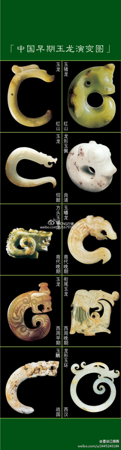 据孙机先生的研究,早期的玉龙形象也许和金龟子的幼虫蛴螬有关,白白