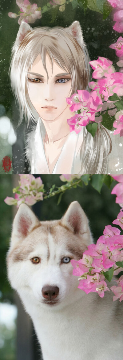 【异瞳】[哈士奇拟人古风画] yin {雪代薰画作} 点开中图
