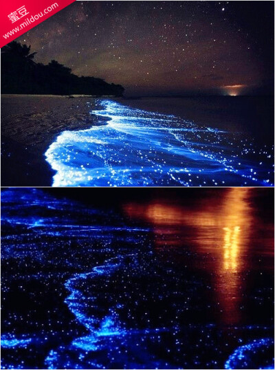 的夜晚,也许会看到著名的蓝眼泪,它是海洋里一种会发蓝光的奇特微生物