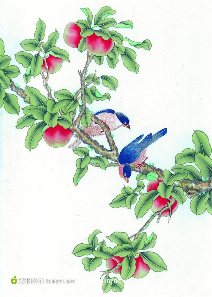 工笔花鸟素材图片下载,现在加入素材公社即可参与传素材送现金活动