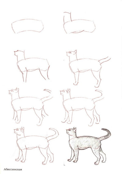 cat drawing tutorial