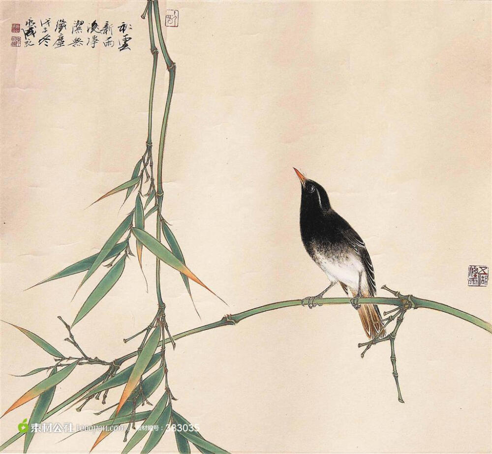 国画花鸟图图片下载,现在加入素材公社即可参与传素材送现金活动