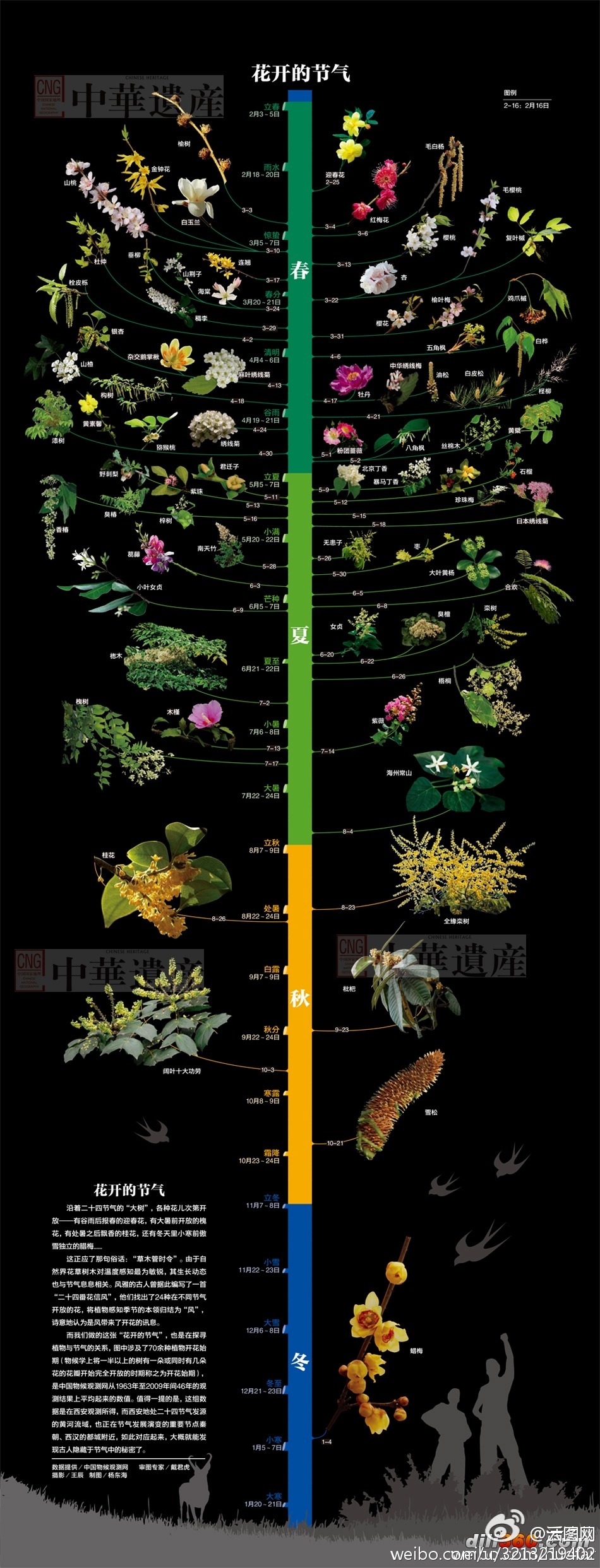 每个季节开什么花你知道吗?