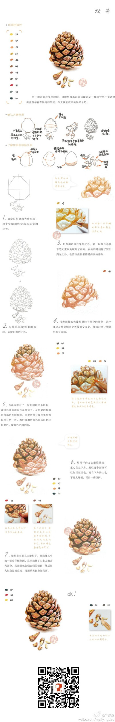 教程#通过明暗面画出最逼真的松果
