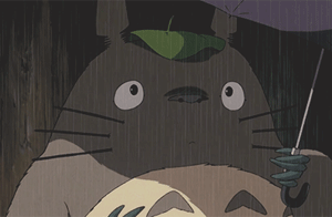 【龙猫(gif动态)