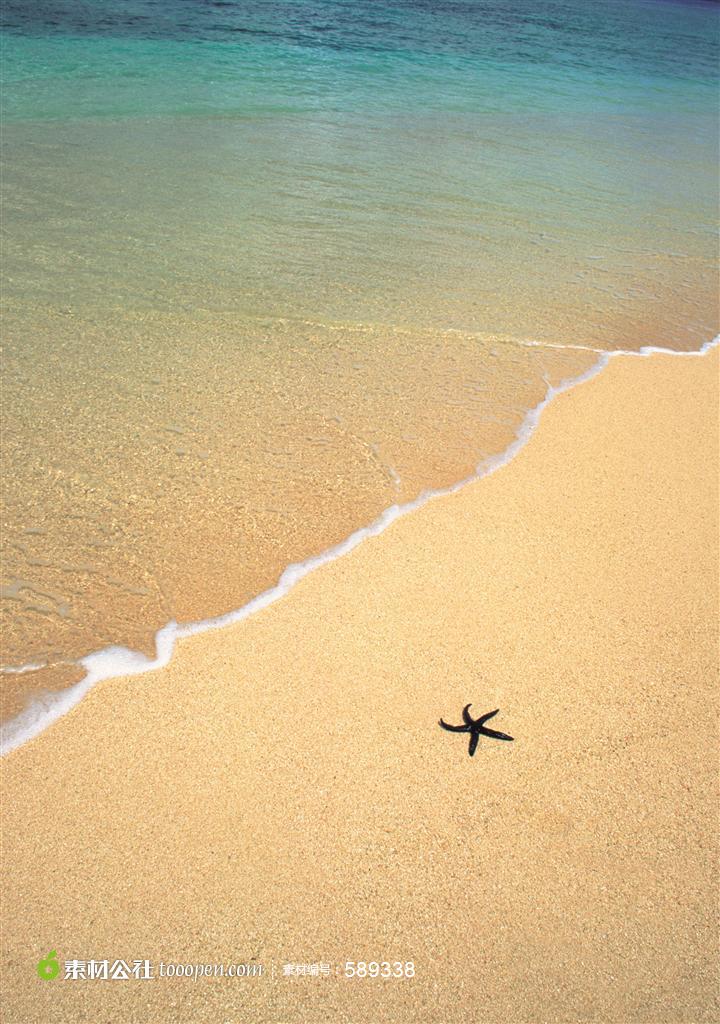 海星沙滩海水蓝色高清图片素材