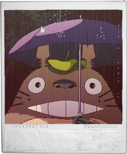 龙猫下雨打伞的图画gif图片
