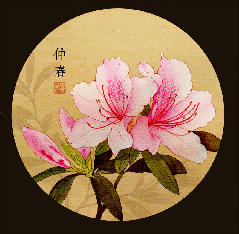 麦籽 的插画 杜鹃