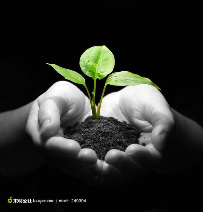 低碳环保广告素材 黑白照片双手捧着的树苗