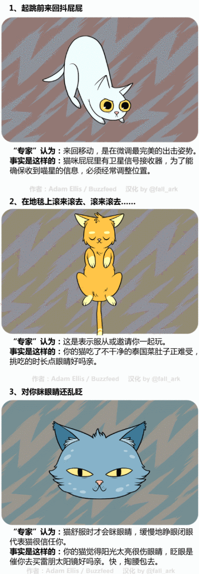 一篇题为《超震惊:以下15种猫咪的行为,背后真正的含义是什么》的文章