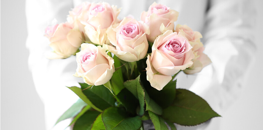 玫瑰rose