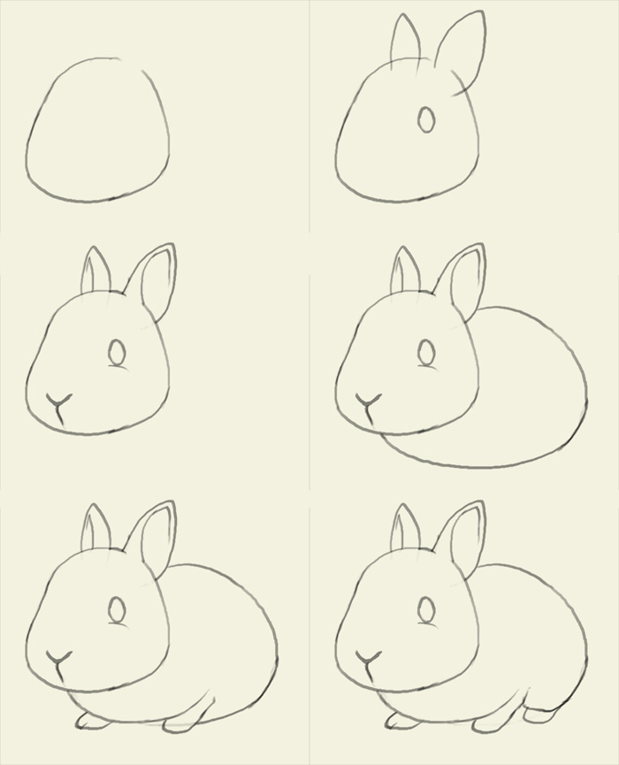 素描【兔子轮廓】分解图,来源:http://idrawgirls