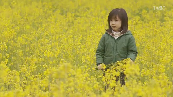 芦田爱菜mother图片