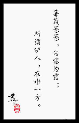 蒹葭苍苍白露为霜所谓伊人在水一方