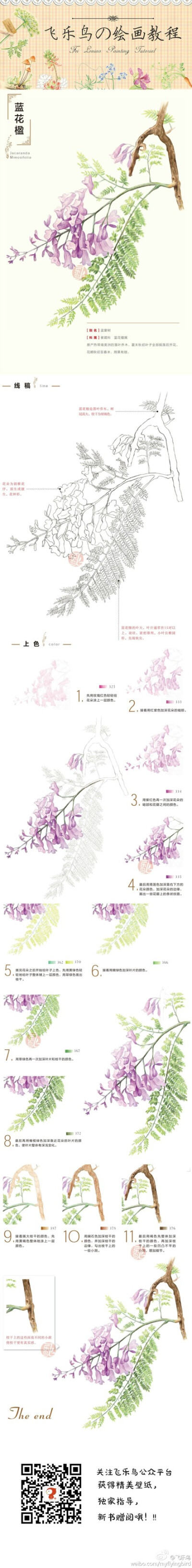 蓝花楹简笔画彩铅图片