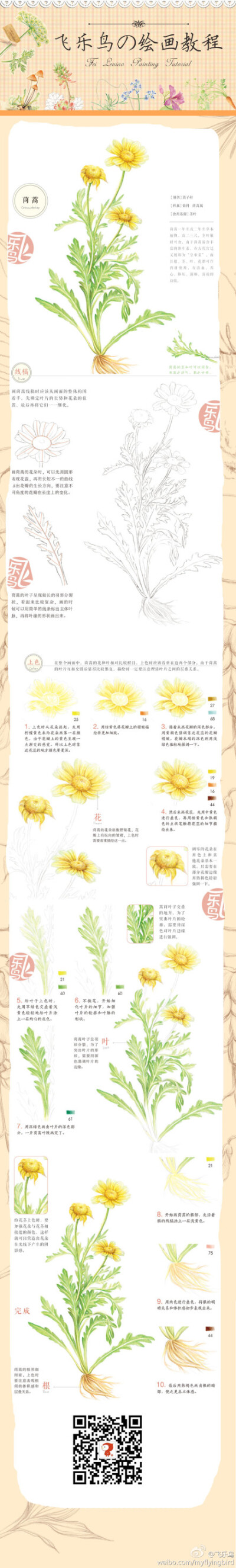 飞乐鸟教程