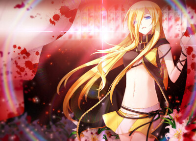 lily v家