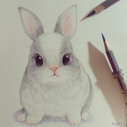 【绘画图片】萌 彩铅 素描 兔兔 这兔萌爆了!有木有?