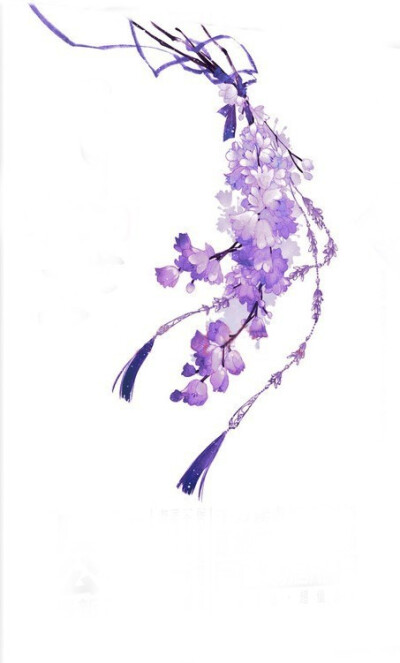 紫藤花~# 古典古韵 # 插画手绘 # 水彩 # 古画 # 素描# 花朵# 涂鸦