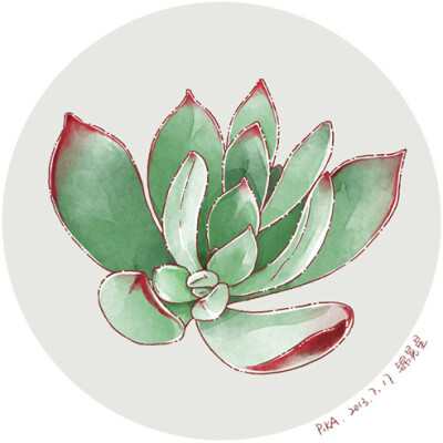 多肉-锦晃星 - pika工_多肉植物_涂鸦王国