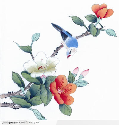 工笔画—茶花