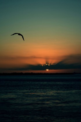 夕阳海景图片好看的手机壁纸图片
