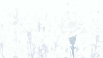 gif,动漫,东京喰种,东京食尸鬼,曼陀罗花,曼珠沙华