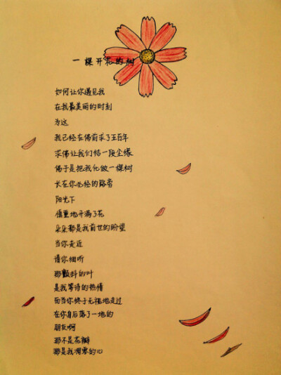 美好的手抄诗 《一棵开花的树》 诗的作者:席慕容.手抄本作者不详.