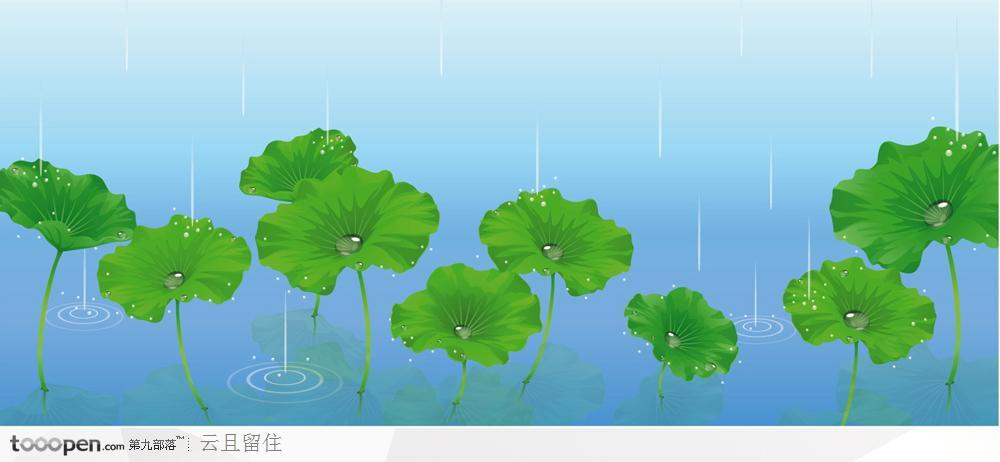 雨中的荷叶风景插画