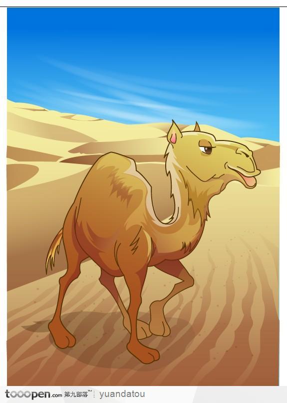 丝绸之路骆驼插画图片