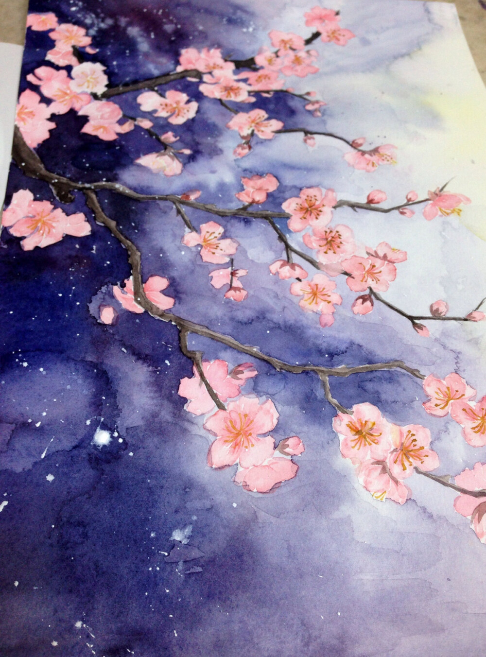 杏花_水彩